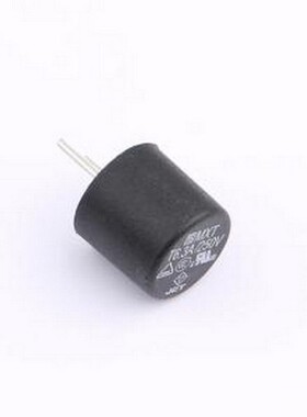 0034.6923 一次性保险丝 250V 插件