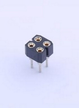 X5521FV-2X02-C30D743-0743 排母 间距:2.54mm 2x2P 直插 插件,P=