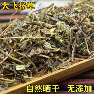 广西野生新货干品500克大飞扬草 大乳汁草 节节花 飞扬草23年新货