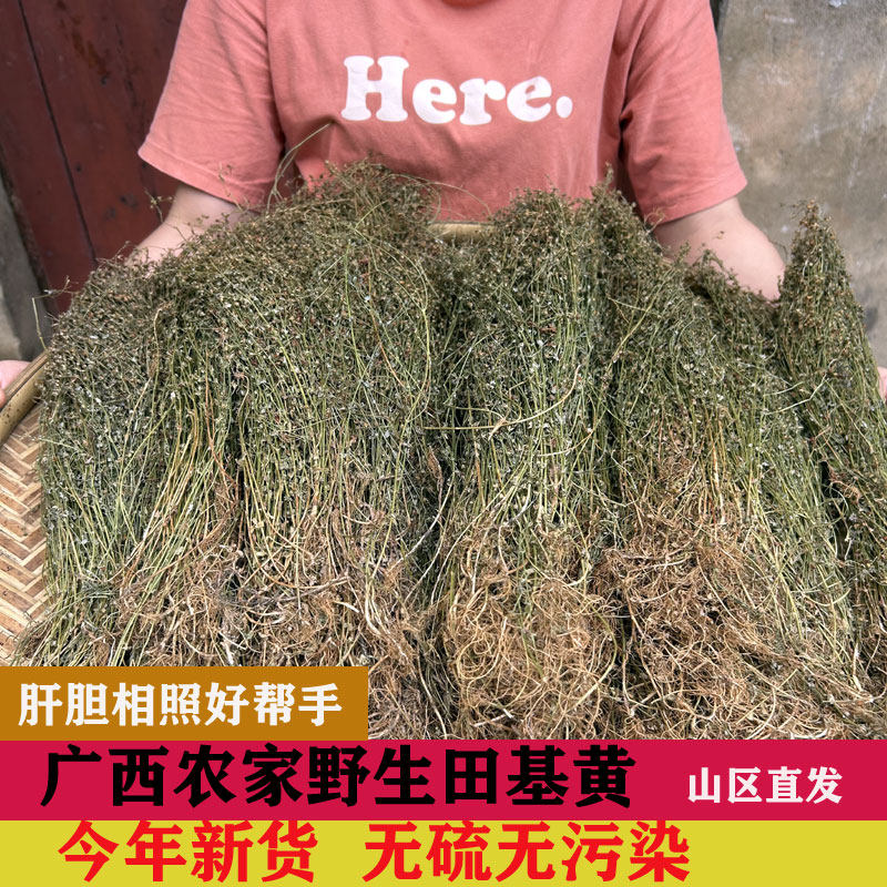 田基黄中草药 广西野生 田基黄中药材地耳草 黄花草 整株 七寸金