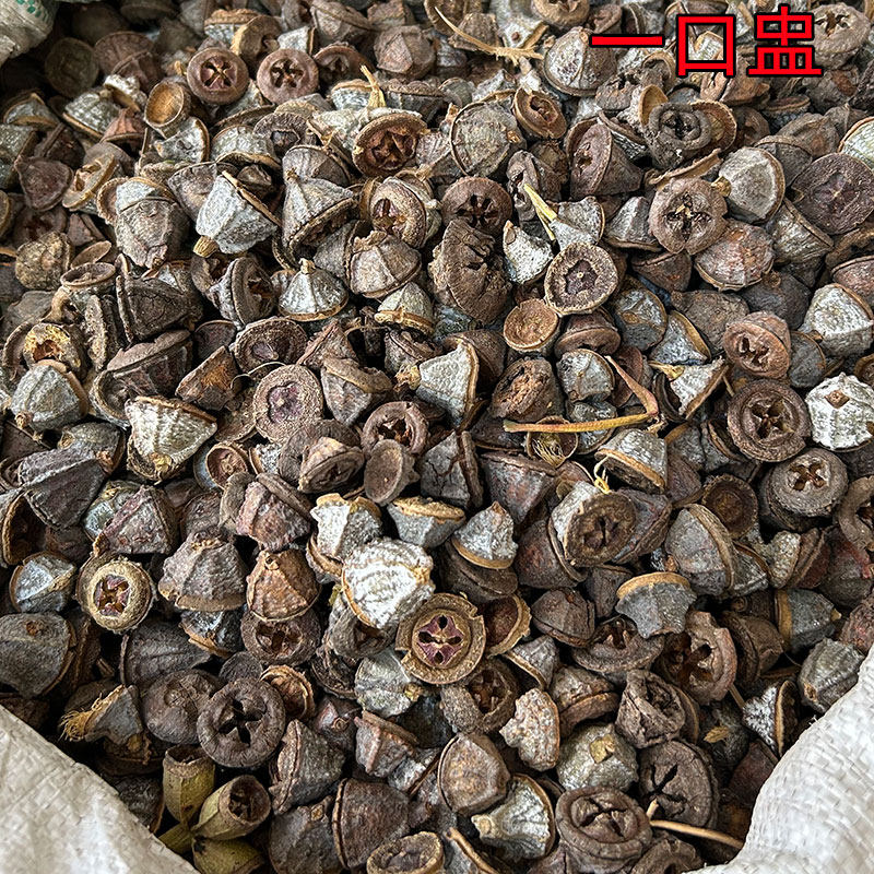 野生新货一口盅红喇叭花金钟菩提胜利果泡茶泡酒中药材一口钟500g