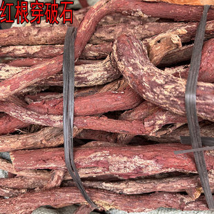 全根血风藤野生中药材红穿破石状元红根部青筋藤铁牛入石红川500g