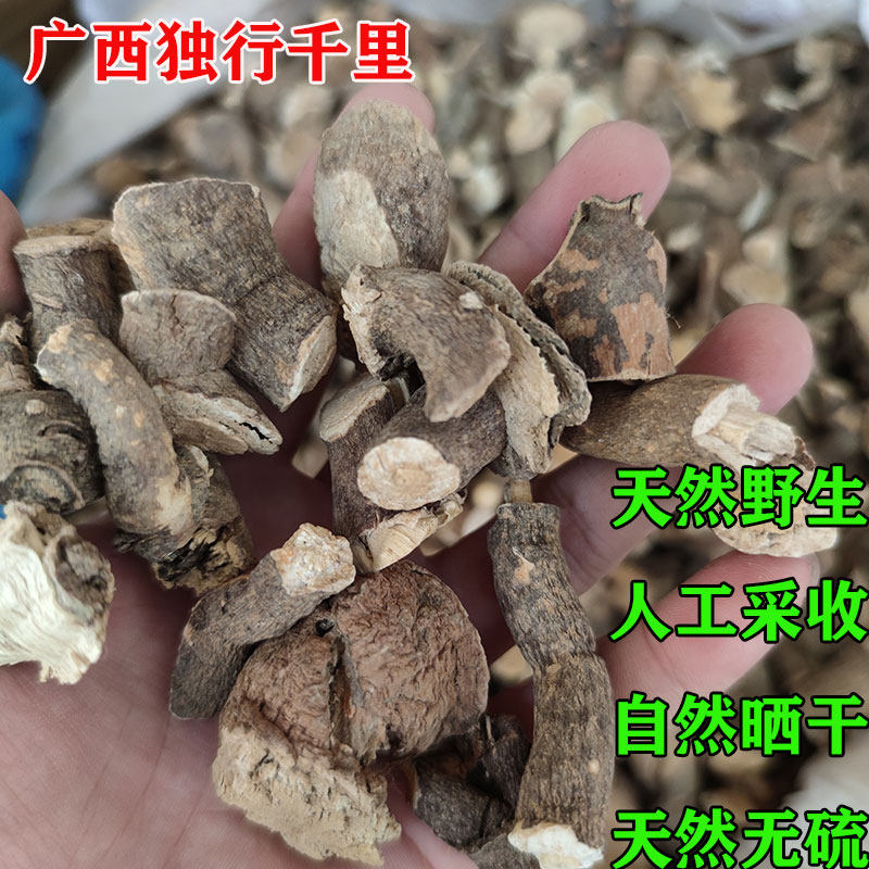 独行千里广西 无硫落地金鸡尖破石 铁牛钻石风 石钻子 500克包邮