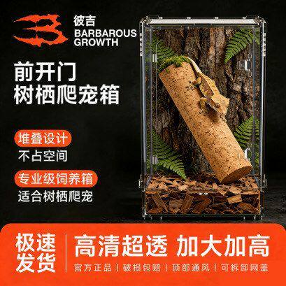 爬虫睫角守宫饲养箱老爷树蛙甲虫