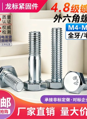 M6M8M10M12M14M16M24M30 4.8级镀白锌外六角螺丝钉加长外六角螺栓