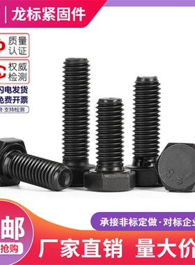 8.8级外六角螺丝外六角螺栓高强度螺丝六角头螺栓M5M6M8M10M12M36