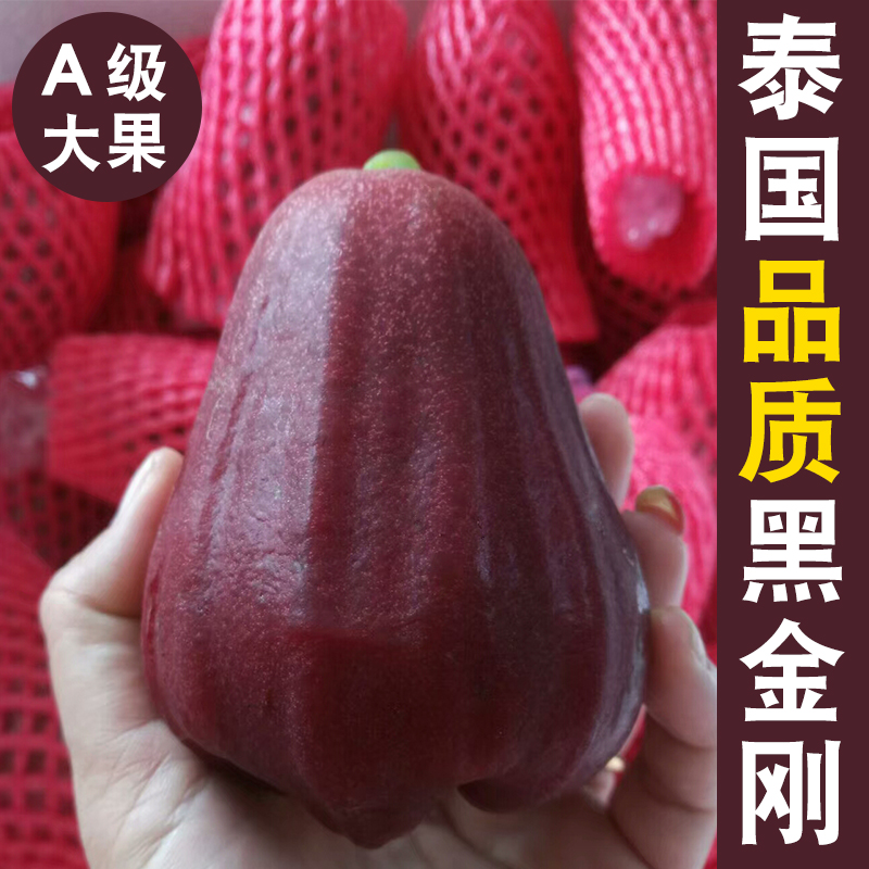 泰国莲雾水果5斤新鲜包邮黑金刚孕妇水果净重4斤非海南台湾莲雾果