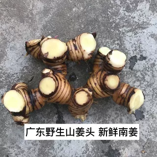 广东新鲜南姜野生山姜头 鲜货包邮 卤味火锅配菜调料辛辣香去腥姜