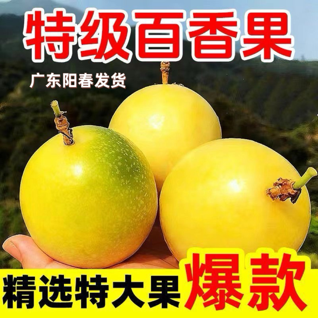 广东百香果阳春本地果园直发甜蜜9黄金百香果特大爆汁鲜果现摘