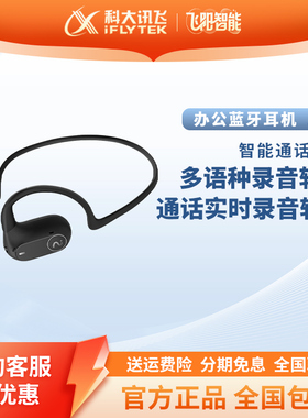 科大讯飞iFLYBUDS Air开放式挂耳式运动耳机蓝牙耳机会议无线录音