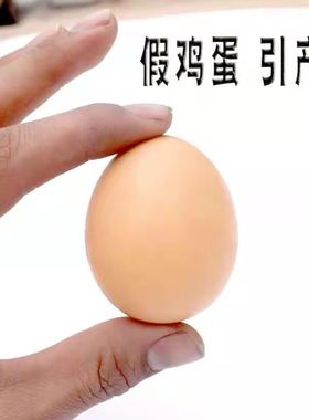 母鸡引蛋 鸡引蛋 假鸡蛋 仿真鸡蛋 鸡窝假鸡蛋 儿童玩具 养鸡设备