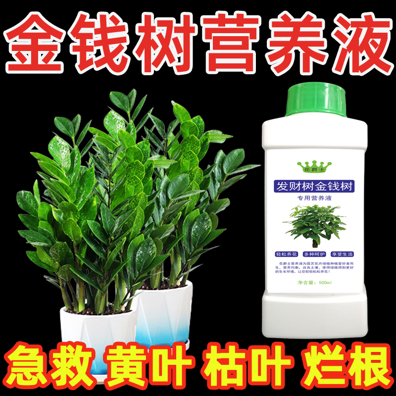 金钱树叶子枯黄掉叶专用营养液发财树肥料专用肥防黄叶落叶烂根