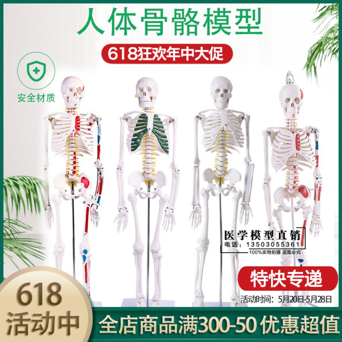 人体骨骼模型45 85CM骨架模型人体脊柱脊椎模型医院用骨骼骷髅-封面