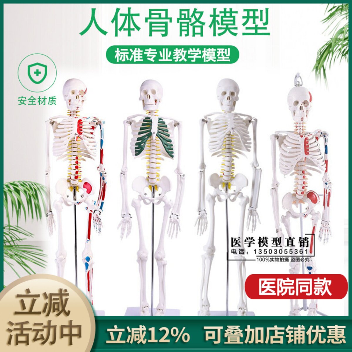 85CM人体骨骼模型 美术医用骨架模型45cm 骨骼标本 骨骼解剖模型