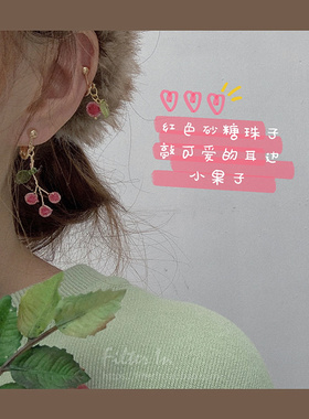 (半价清仓）朝露野果 日本进口砂糖果子 手作清新小枝 耳环/耳夹