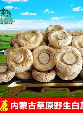口蘑塞外草原特产蘑菇干货