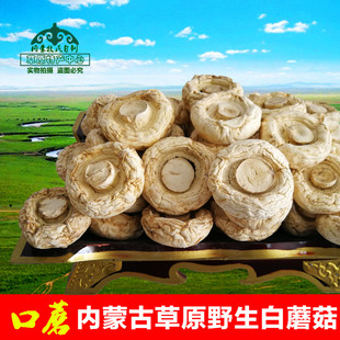 口蘑 内蒙古草原野生白蘑菇 张家口塞外珍贵特产舌尖美食干货200g