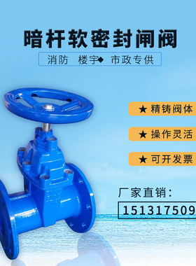 软密封闸阀PN16QT450暗明杆DN50 65 80消防法兰沟槽管道水闸