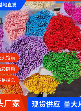 永生花半干满天星家居婚庆装饰摆件花束拍摄道具礼物制作插花批发