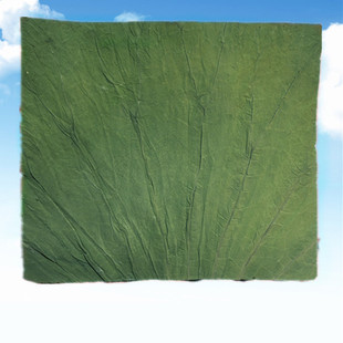 微山湖荷叶整张新鲜干荷叶圆片方形切片包糯米鸡专用木桶饭