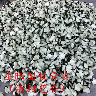 天然生晒正宗新会梅江圈枝大红皮2025年青皮二红陈皮新皮东甲原枝