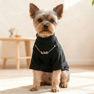 纯色卫衣 LOVE项链打底衫 PETCIRCLE宠物服装 狗狗猫咪衣服春夏新款