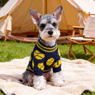 petcircle宠物小狗猫咪衣服可爱小型犬秋冬保暖篮球毛衣