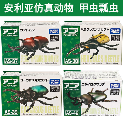 安利亚锯齿瓢虫五角甲虫