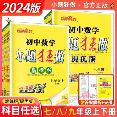 2024版小题狂做七八九年级上下册