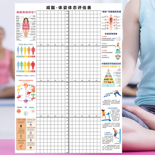 体态评估图表健身房瑜伽馆体测墙