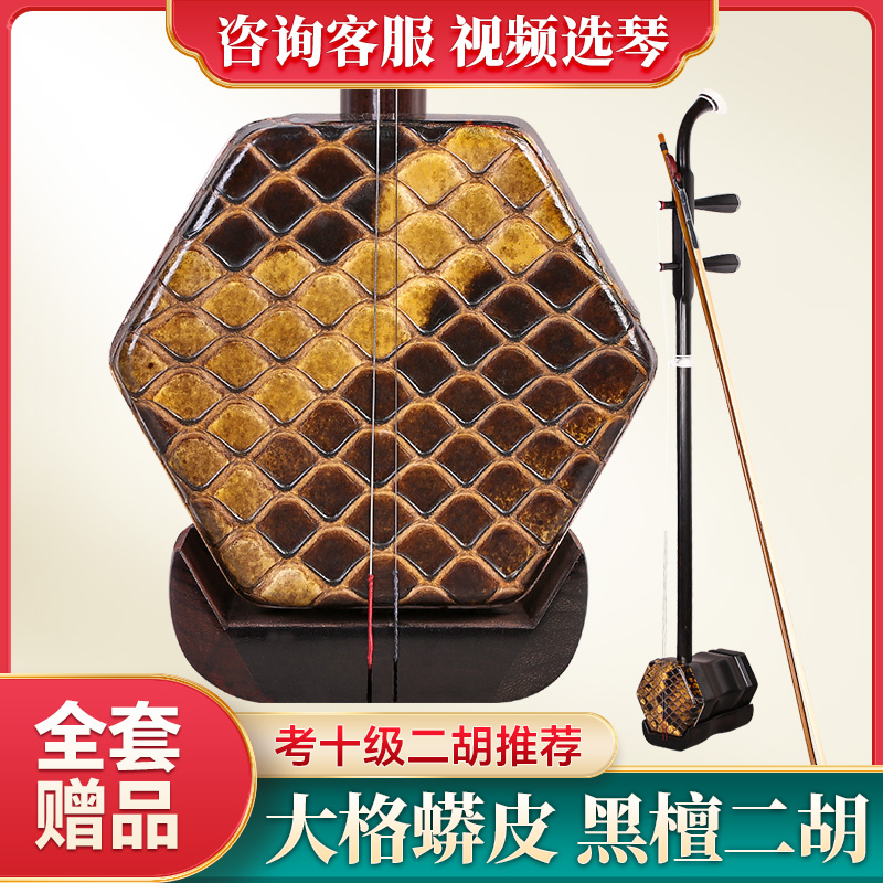 黑檀二胡大皮大菱格蟒皮二胡琴黑檀木专业成人演奏考级二胡乐器