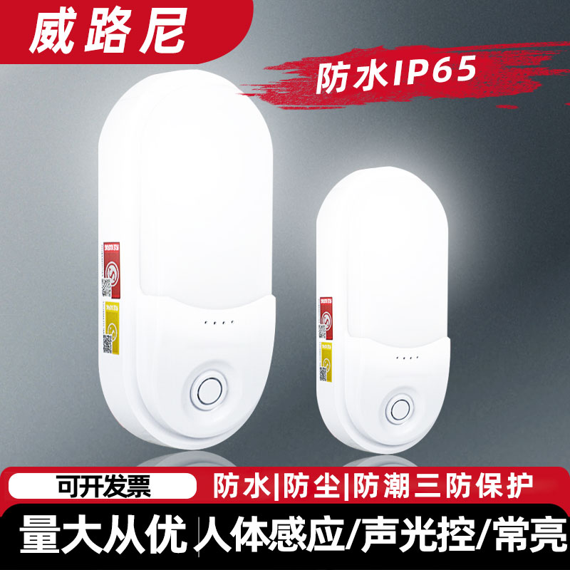 消防应急壁灯ip65疏散通道