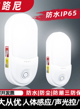 消防应急壁灯防水IP65疏散通道照明灯充电LED11W新国标3C挂墙壁灯