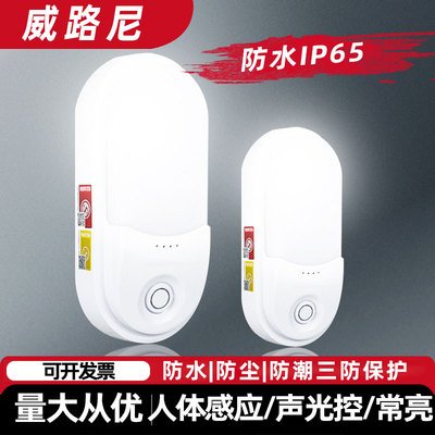 消防应急壁灯ip65疏散通道