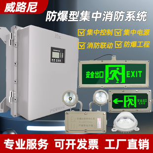 防爆A型消防应急照明低压36V集中电源控制安全出口指示牌应急灯