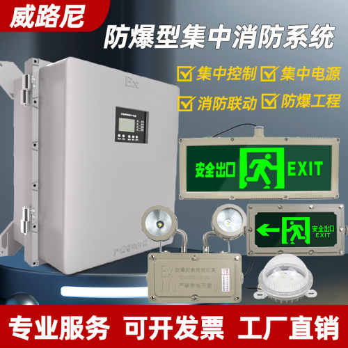 防爆A型消防应急照明低压36V集中电源控制安全出口指示牌应急灯
