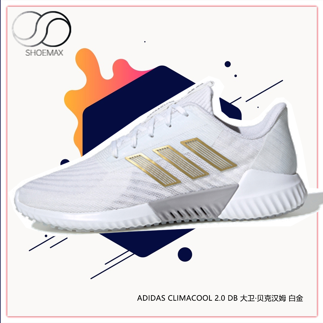 Adidas鞋金价格 Adidas鞋金图片 星期三