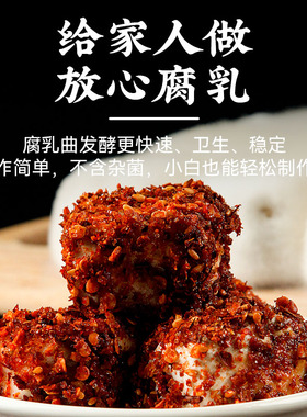 曲子腐乳曲粉自制毛豆腐发酵菌豆豉毛霉菌粉长白毛臭豆腐霉豆腐乳