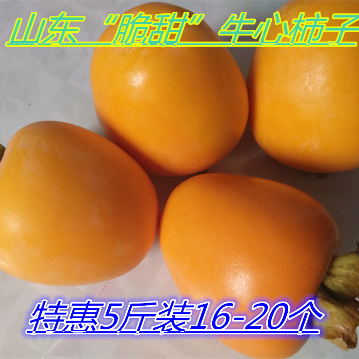 山东牛心柿子脆甜芒果柿子沂蒙山特产大长柿子新鲜现摘现发包邮