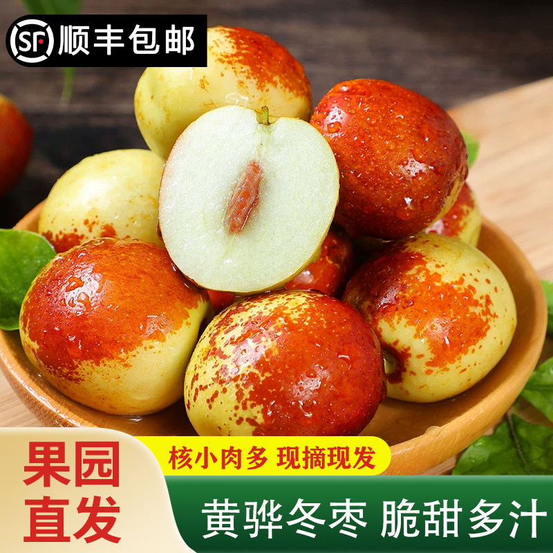 【顺丰包邮】河北黄骅冬枣现摘现发脆甜多汁应季水果核小肉多