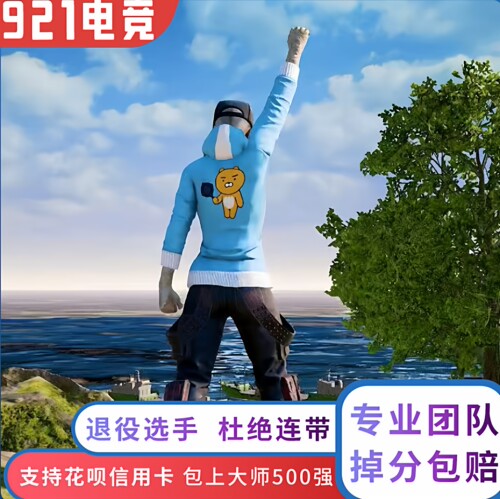 绝地求生PUBG陪打代练竞技上分冲榜维护生存者娱乐刷KD车队