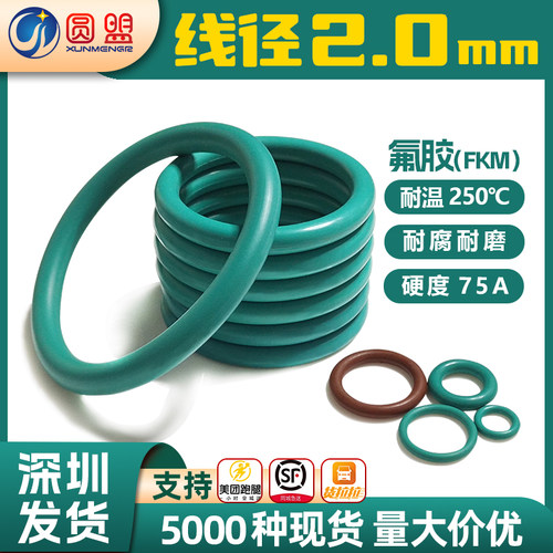 氟橡胶耐高温密封圈耐腐蚀O型圈