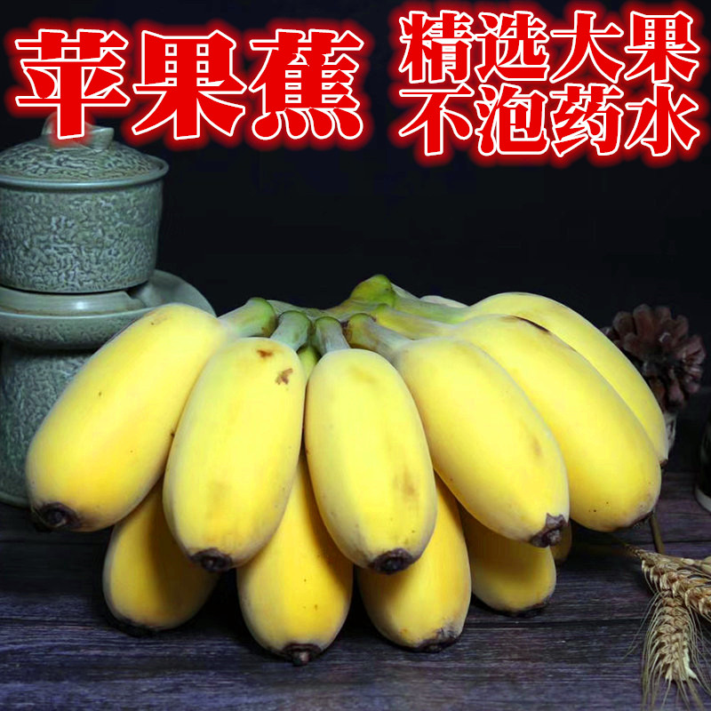 广东苹果蕉新鲜苹果蕉个大饱满