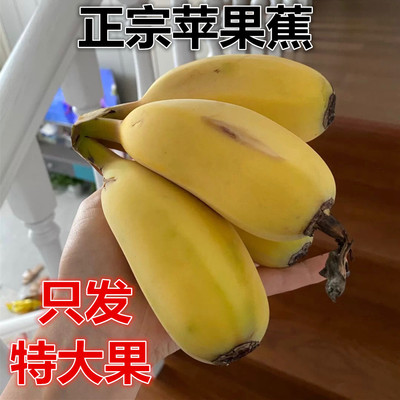 Аутентичный яблочный банан Big Fruit Banana Fresh 5 Catties из натуральных приготовленных коробок с полной коробкой фрукты порошок бананы Xiaomi Banan