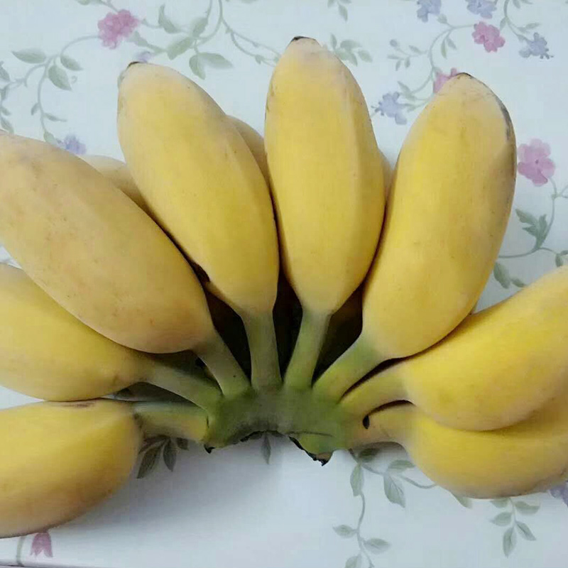 苹果小米野生新鲜5斤香蕉