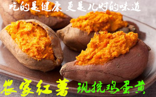 新上市高州红薯现挖地瓜山芋新鲜果蔬红心番薯农家鸡蛋黄5斤山东