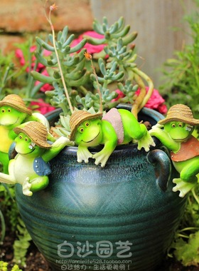 摆件萌哒哒戴帽盆边多肉微景观