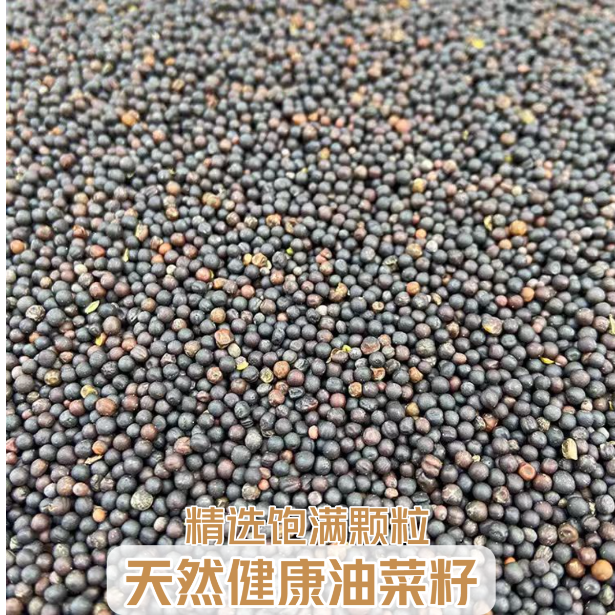 鸟食油菜籽玄凤牡丹虎皮鹦鹉饲料小太阳文鸟饲料珍珠鸟宠物鸟粮食,宠物/宠物食品及用品,鸟食,淘宝优惠券,粉丝福利购,淘宝优惠卷