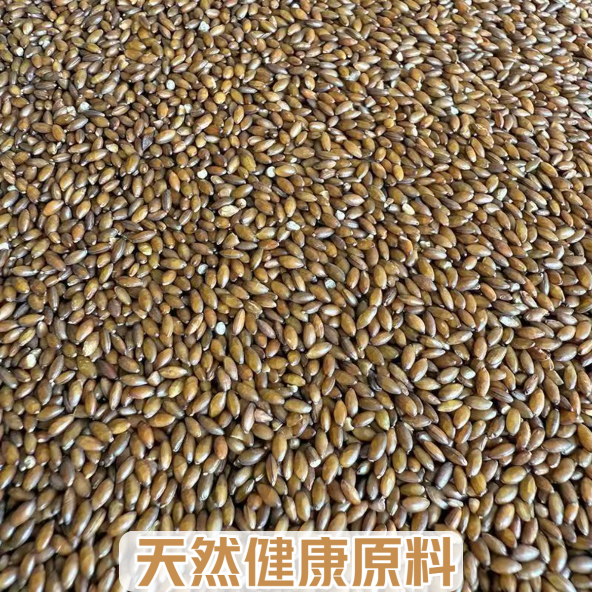 脱壳进口加纳利子鸟食金丝雀虎皮牡丹玄凤小太阳鸟粮鹦鹉零食饲料,宠物/宠物食品及用品,鸟食,淘宝优惠券,粉丝福利购,淘宝优惠卷