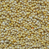 鹦鹉鸟粮鸟食营养粮鸟饲料带壳小米虎皮牡丹玄凤新黄谷子